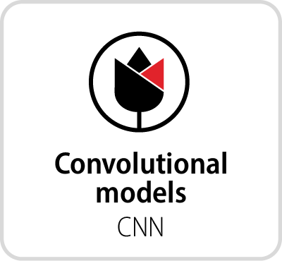 Principes et concepts des réseaux de neurones convolutifs (CNN)